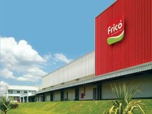 Fricó