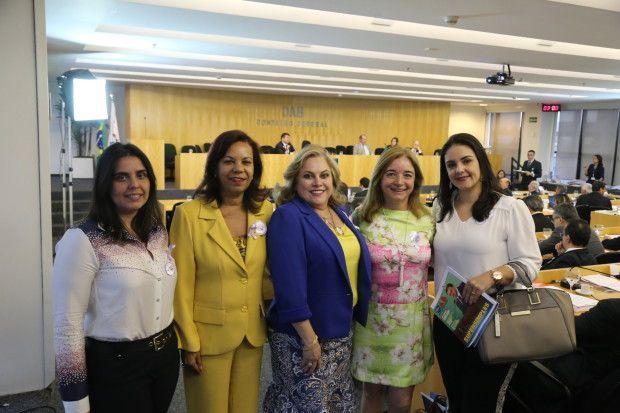 As advogadas Ariana Teles, Helena Delamonica (goiana e presidente em exercício da OAB-MG), Manoela Gonçalves, Valentina Jungmann e Mônica Paiva acompanharam a votação em Brasília