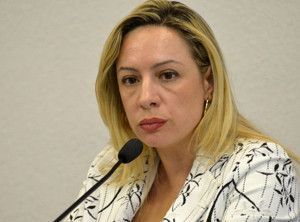 O projeto é uma iniciativa da deputada Adriana Accorsi
