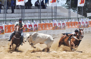 Vaquejada