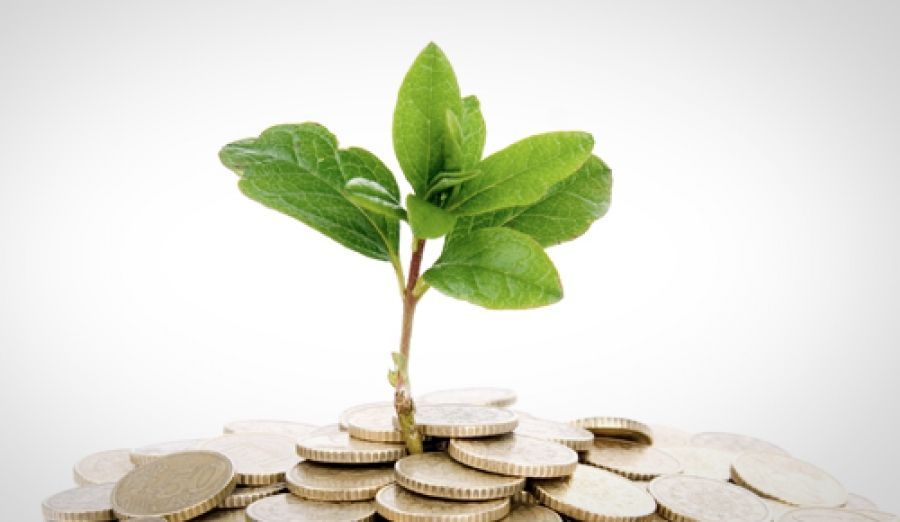 Crédito Verde: de quem é a responsabilidade? Crédito Verde: de quem é a responsabilidade?