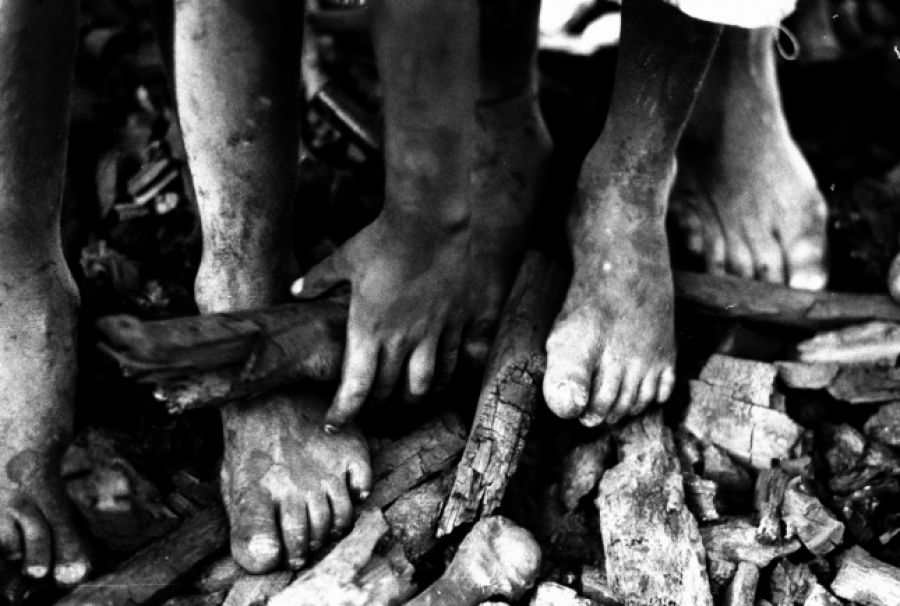 697d199da854939151485cbd4b0efe74_XL.jpg