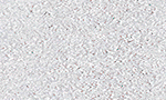 banner transito reduza a velocidade 728X90