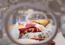 INSS passa a conceder salário-maternidade com apenas uma contribuição feita por autônomas e seguradas facultativas