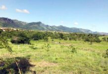 Justiça suspende leilão de pequena propriedade rural dada em garantia por produtor no Tocantins imissão na posse