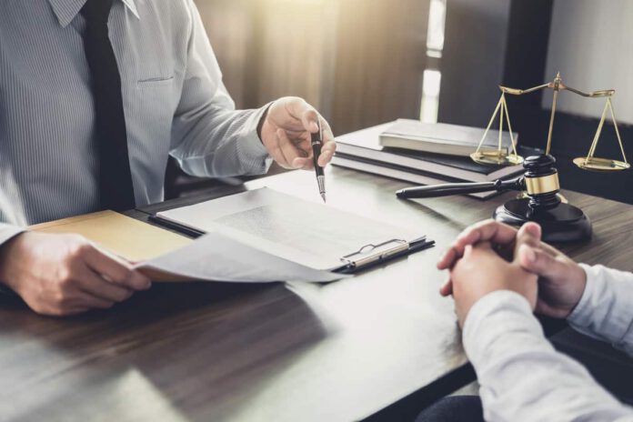 advogado contratação licitação