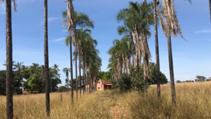 Fazenda São Lukas