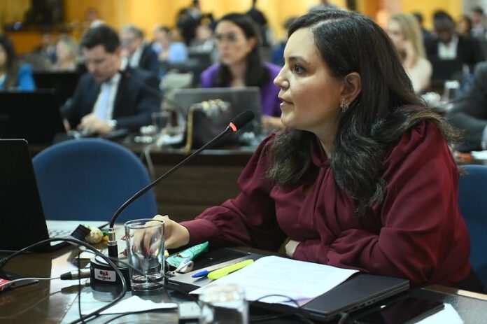 A conselheira seccional Thaís Moraes de Sousa é a relatora do caso