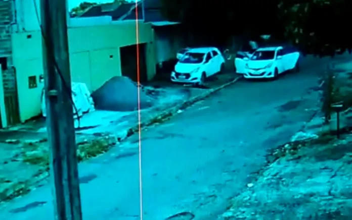 atropelamento 2