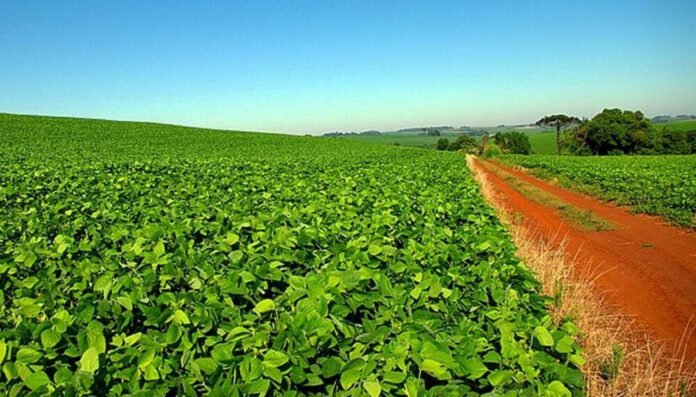 penhora imóvel rural limite excesso