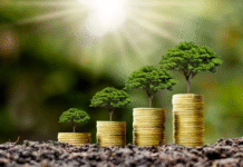 TRF1 fixa tese de que a prescrição em processo administrativo ambiental extingue termo de embargo Produtor rural reduz ITR de R$ 27 milhões para R$ 640 mil após revisão de áreas ambientais