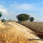 Operação do MPGO apura esquema de sonegação de ICMS que acumula R$ 90 milhões em débitos Operação Safra Oculta apura esquema de sonegação de ICMS que acumula R$ 90 milhões em débitos