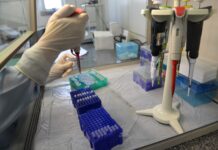 Nova resolução do CNJ exige comprovação de coleta de dados biométricos e biológicos antes da autorização judicial para enterro