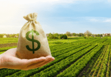 Projeto de lei em tramitação na Câmara proíbe venda casada na contratação de crédito rural Justiça reconhece direito de produtor rural ao alongamento de dívida após frustração de safra