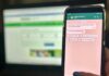 Goianos poderão renovar CNH e solicitar carteira de identidade pelo WhatsApp ainda em junho