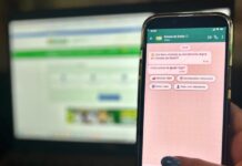 Goianos poderão renovar CNH e solicitar carteira de identidade pelo WhatsApp ainda em junho