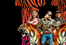 Juíza de Goiânia manda Netflix desfocar imagem de mulher exibida em episódio da série “Máfia dos Tigres”