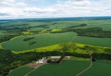 Liminar suspende leilões de fazenda avaliada em R$ 77,6 milhões em Rio Verde