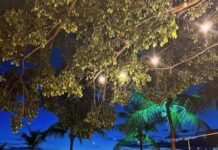 Suspensa reintegração e demolição de imóvel onde funciona restaurante em Três Ranchos