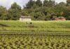Projeto prevê validação automática do Cadastro Ambiental Rural para pequenas propriedades