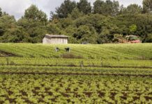Projeto prevê validação automática do Cadastro Ambiental Rural para pequenas propriedades