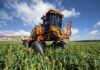 TJGO mantém liberação de valores bloqueados e posse de máquinas agrícolas a produtores em RJ