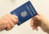 TRT de Goiás afasta vínculo de emprego entre prestador de serviços e empresas ligadas ao pai