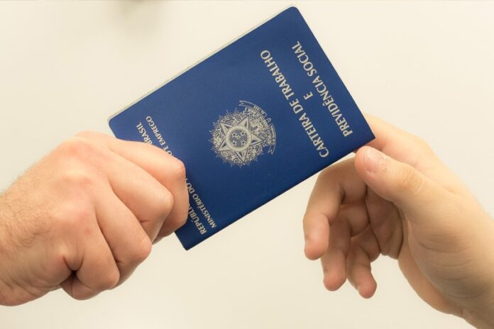 carteira de trabalho 2