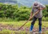 TJGO reconhece impenhorabilidade de imóvel rural de 23,5 hectares e afasta exigência de unicidade patrimonial