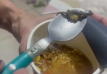 Consumidora encontra lagartixa em macarrão instantâneo e será indenizada em R$ 3 mil
