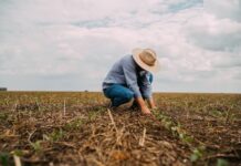 PL prevê justiça gratuita para produtores rurais em renegociação de dívidas e crédito rural
