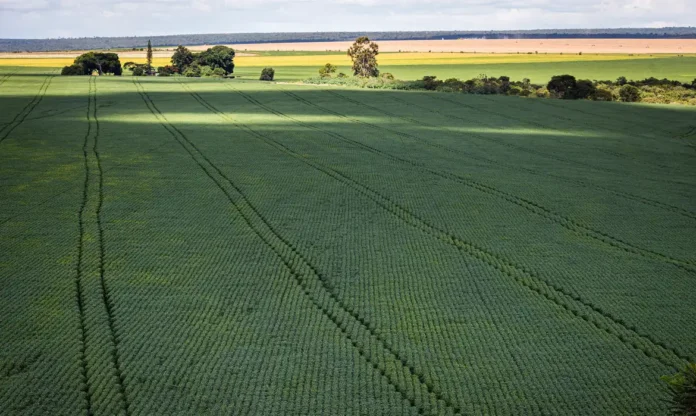 produtor rural