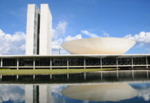 Empresários e advogados são maioria entre os deputados federais eleitos para a nova legislatura
